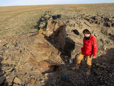 В Казахстане нашли следы жизни старше динозавров | Казахстан Noks.kz