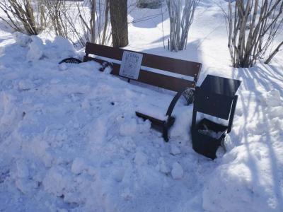 Жители Риддера жалуются на недоступность скамеек в оживленных местах города | Риддер Noks.kz