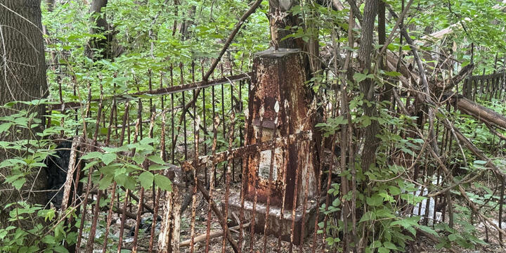 В городе Алтае решают судьбу старого кладбища