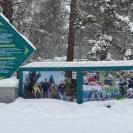 Уличную фотогалерею в городе Алтае повредили