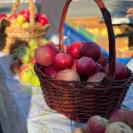 Какие продукты могут пополнить список социально значимых?