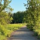 В городе Алтае  планируют оборудовать экопарк народными силами