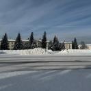 Скоро на главной площади города Алтая будет установлена новая искусственная ель