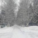 В Риддере временно перекроют движение по проспекту Независимости