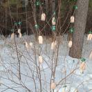 Туристы обнаружили в Риддере странный объект