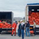 В Казахстане обсуждают беспошлинный ввоз овощей