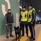 Казахстан наводит порядок в миграции: что меняется в правилах до 2030 года