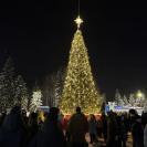 В Алтае зажгли огни на главной городской ёлке