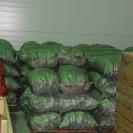 В Казахстане дешевеют молоко и овощи — чиновники