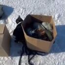 В Семее возле трассы нашли коробки и мешки с живыми и мёртвыми кошками 