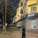 Сразу несколько муралов могут появиться в городе Алтае