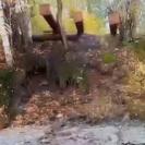 Загрязненные стоки, зола и шлаки с риддерской ТЭЦ попали в реку Тихую