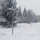 В сквере Тайшибаева в Риддере несколько новых фонарей уже не горят