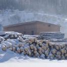 В Пихтовском лесничестве в Риддере пояснили ситуацию с вырубками у села Лесного