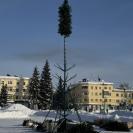 В городе Алтае приступили к установке главной новогодней ёлки