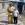В Усть-Каменогорске при пожаре спасли ребенка