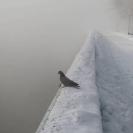 В ВКО столбики термометров опустились до минус 45 градусов