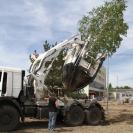 В Казахстане озеленение признали неэффективным из-за отсутствия научного подхода