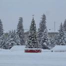 ВКО. В ряде районов столбики термометров опустились ниже 40 градусов