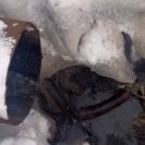 Риддерский Водоканал наказали за несанкционированный сброс канализационных стоков