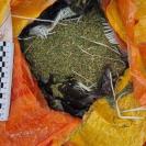 В Казахстане за год изъяли почти 49 тонн наркотиков