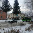 Специалист Алтайского ботанического сада высказал свое мнение об обрезке елей в Риддере 