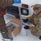 В одном из нацпарков разложили брикеты с вакциной против бешенства